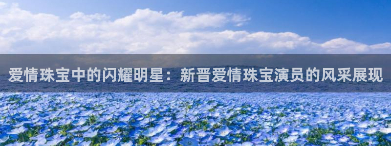 天宏娱乐集团董事长