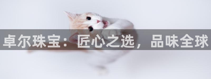 天宏娱乐星歌总部