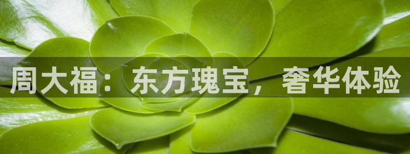 天宏娱乐丘v33300