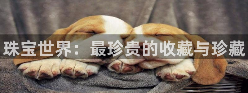 天宏娱乐创始人