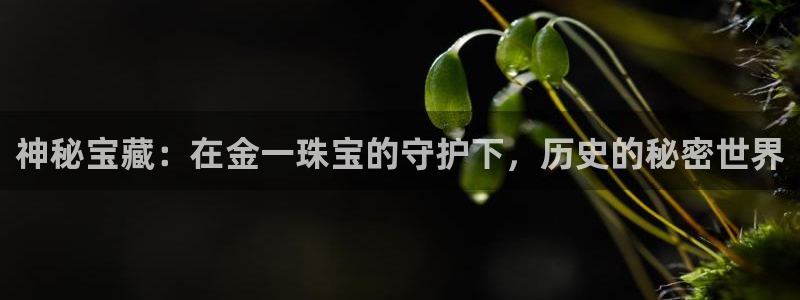 天宏娱乐可靠吗:神秘宝藏:在金一珠宝的守护下,历史的秘密世界