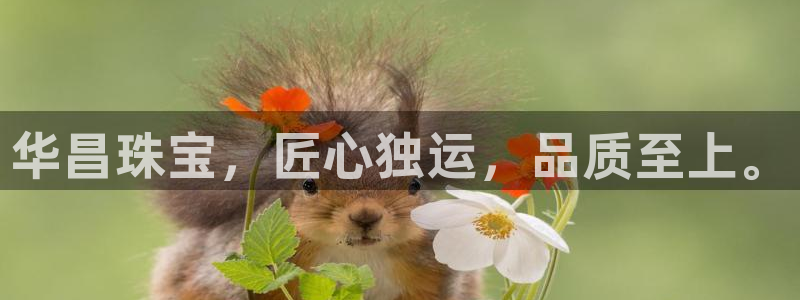 天宏娱乐 福星平台:华昌珠宝,匠心独运,品质至上。