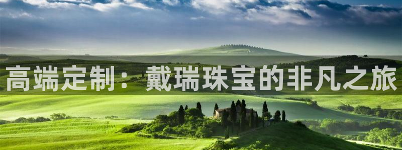 天宏娱乐b 判官