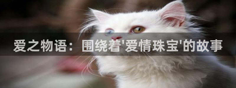 天宏娱乐满意hfqjwl下拉