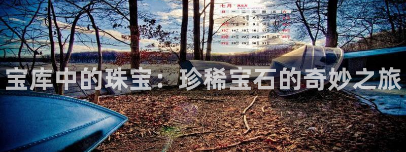 天宏娱乐是什么：宝库中的珠宝：珍稀宝石的奇妙之旅