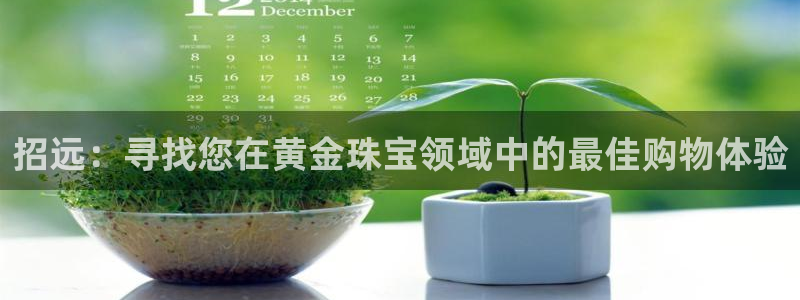 天宏娱乐官网平台:招远:寻找您在黄金珠宝领域中的最佳购物体验