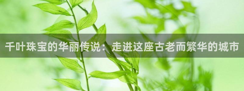 天宏娱乐直播间在哪:千叶珠宝的华丽传说:走进这座古老而繁华的