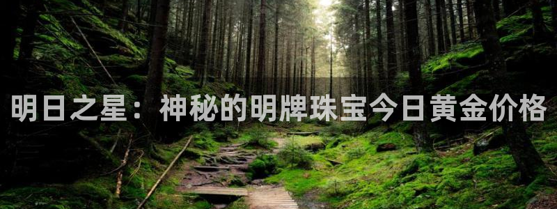 天宏娱乐怎样赚钱的：明日之星：神秘的明牌珠宝今日黄金价格